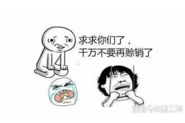 郓城融资清欠服务